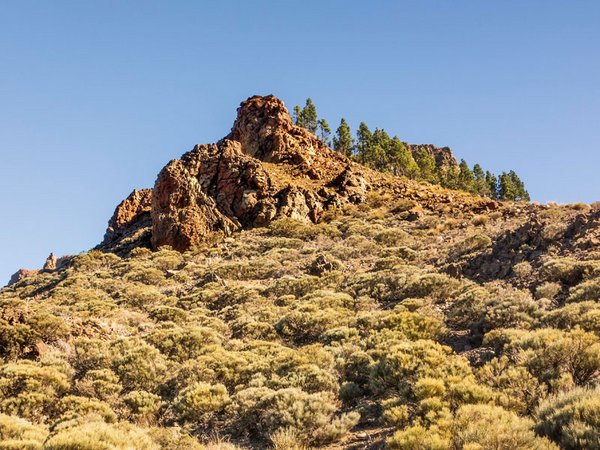 Teide-Nationalpark – ein Fels hält Wache
