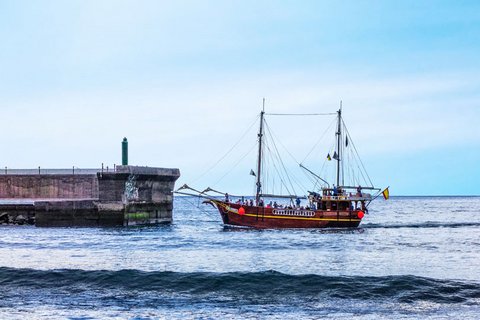 Schiffsreise zu los Gigantes (den Riesen) vom Yachthafen aus – Heimkehr in den Yachthafen