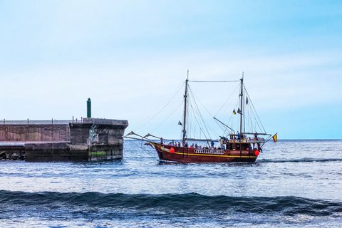 Schiffsreise zu los Gigantes (den Riesen) vom Yachthafen aus – Heimkehr in den Yachthafen