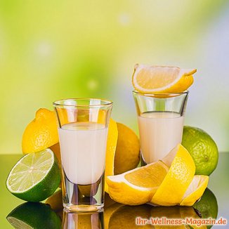 Zitronen-Limetten-Likör