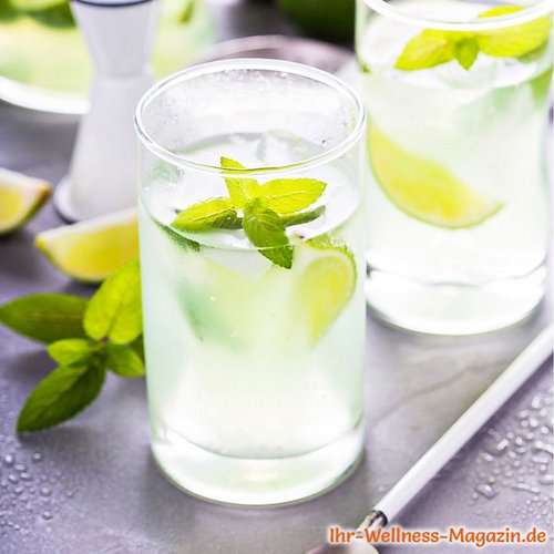 Limetten-Limonade mit Minze selber machen - Rezept ohne Zucker &amp; Low Carb