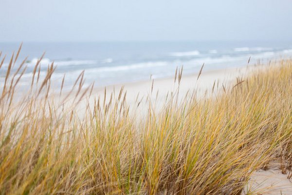 Wellness-Urlaub an der Ostsee – vielfältige Wohlfühlmöglichkeiten am Meer