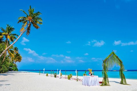 Malediven Insel Halaveli im Nord Ari Atoll: Hochzeit am Strand und Honeymoon auf den Malediven