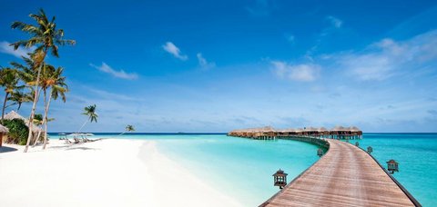Malediven Insel Halaveli im Nord Ari Atoll: Strandurlaub auf einer Insel im Indischen Ozean