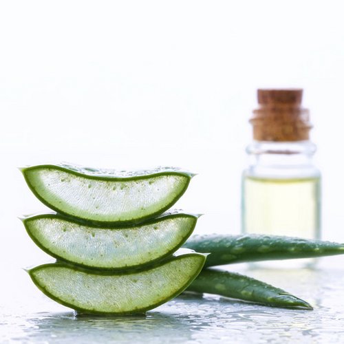 Aloe Vera Gesichtswasser selber machen