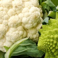 Obst Sorten und Gemüse Sorten: Blumenkohl - bekömmlich, gehaltvoll und kalorienarm