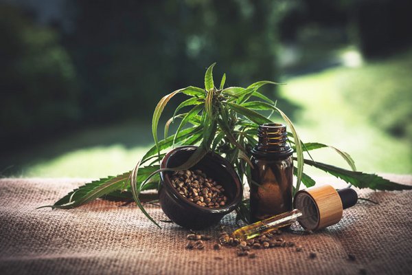 Einführung in die Hanfprodukte: Unterschiede zwischen CBD-Blüten, -Ölen und Kosmetik