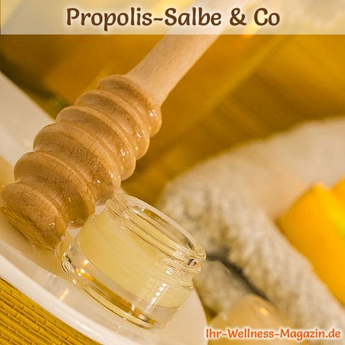 Propolis-Lippenbalsam selber machen