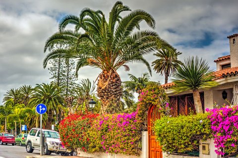 Puerto de la Cruz auf Teneriffa: Puerto de la Cruz – koloniales Gepräge mit kanarischem Flair