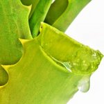 Aloe Vera Saft Nebenwirkungen