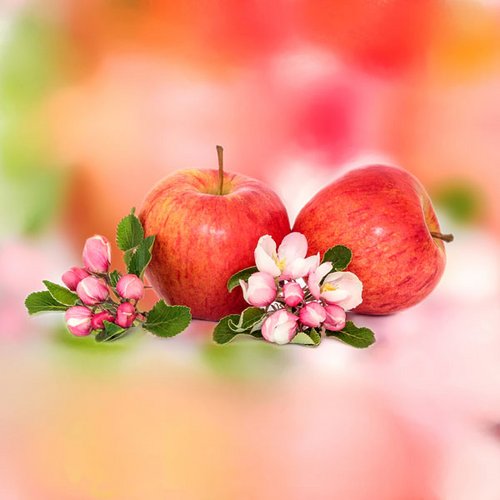 8. Die Apfel-Diät – 840 kcal/Tag