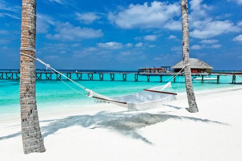 Malediven Insel Halaveli im Nord Ari Atoll: Traumurlaub am Strand mit Palmen
