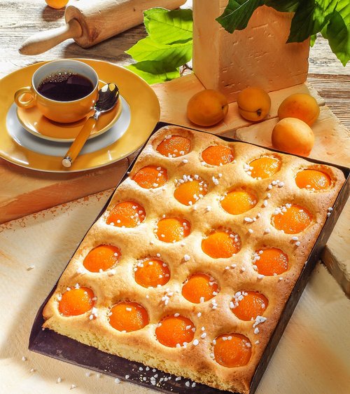 Aprikosenkuchen vom Blech