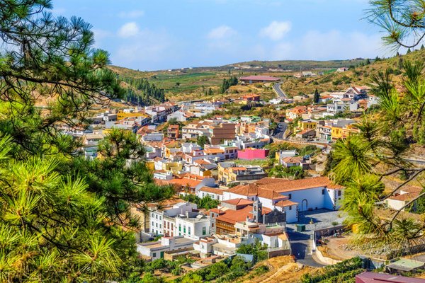 Vilaflor – Blütenpracht im höchsten Bergort Spaniens – Vilaflor