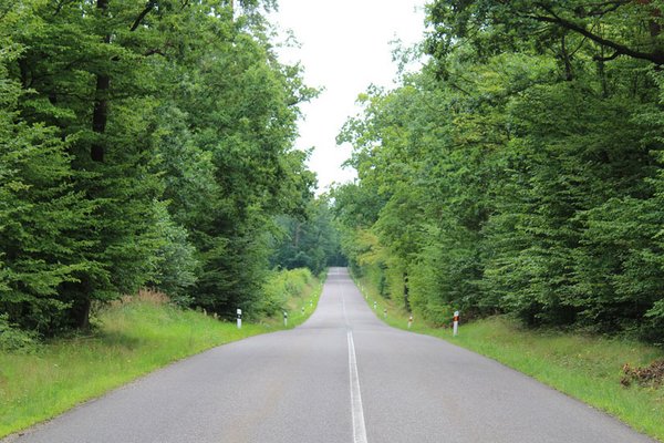 Roadtrip: So organisieren Sie einen Roadtrip durch Deutschland