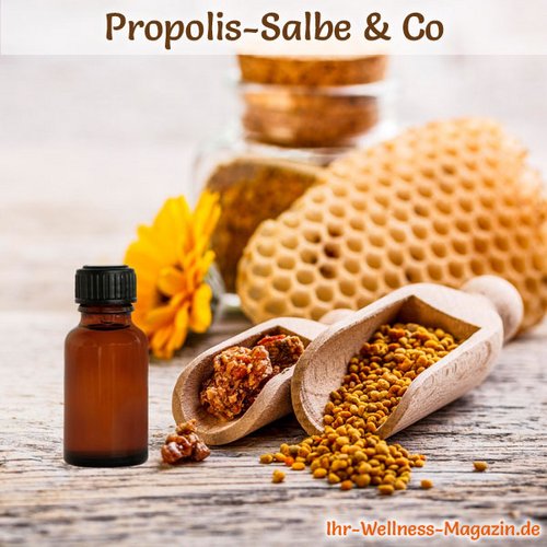 Propolis-Tropfen selber machen