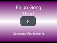 Hier gehts zum Video: Falun-Gong-Übungen mit Einführung