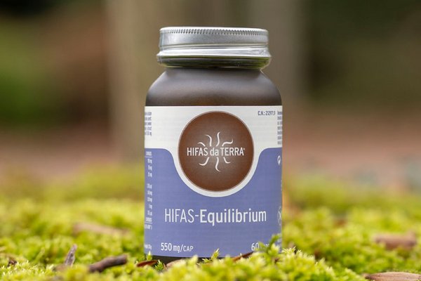Vitalpilze von Hifas da Terra