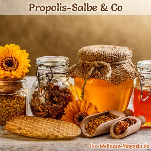 Propolis Salbe & Co selber machen