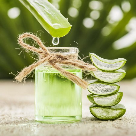 Aloe Vera Shampoo für fettiges Haar