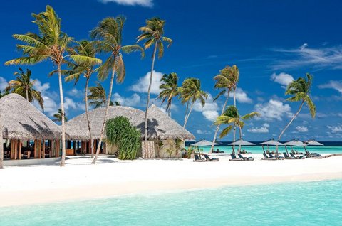 Malediven Insel Halaveli im Nord Ari Atoll: Strandurlaub auf den Malediven Inseln