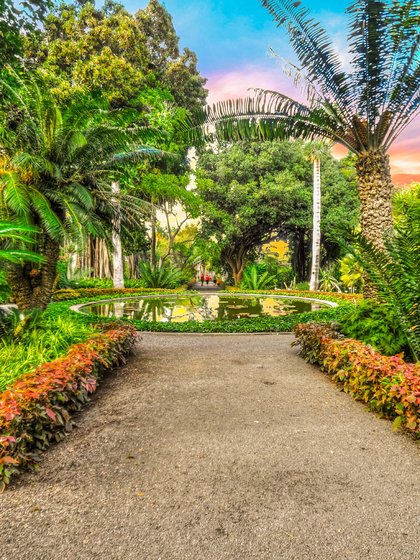 Puerto de la Cruz auf Teneriffa: Jardin Botanico