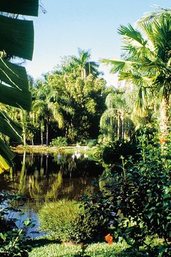 Reisen Florida - Sarasota bietet mehr als Natur - Jungle Garden