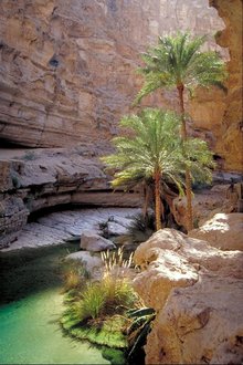 Reisen Oman - Ein unvergesslicher Urlaub in Oman. Wer in Oman nur Wüste erwartet, darf sich auf einige Überraschungen freuen.