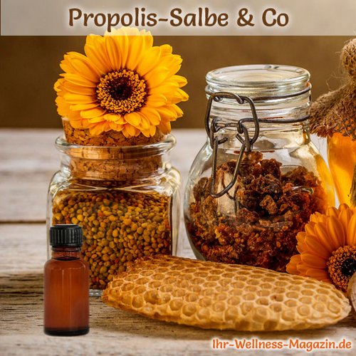 Propolis-Tinktur selber machen