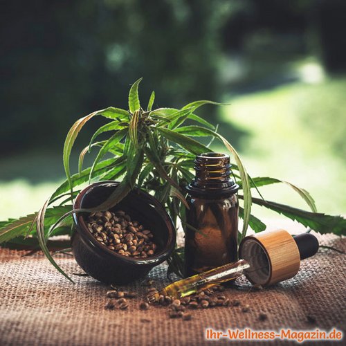 Die Wirkung der Cannabispflanze gegen Schmerzen und Entzündungen