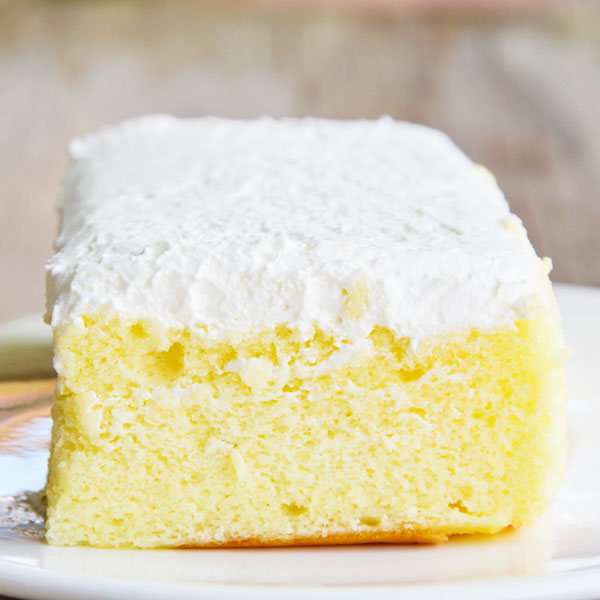 15 schnelle, einfache Low Carb Kuchen-Rezepte ohne Zucker