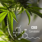 weiter zu - Was ist CBD und wo wird es eingesetzt