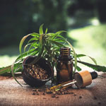 weiter zu - Cannabispflanze gegen Schmerzen