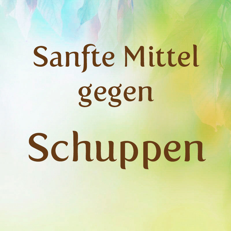 tipps gegen schuppen was hilft gegen schuppen sanfte mittel hausmittel gegen tipps gegen schuppen was hilft gegen schuppen sanfte mittel hausmittel gegen