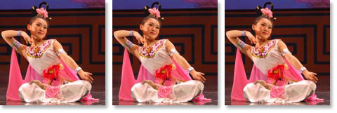 Shen Yun Worldtour 2009