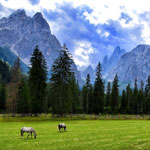 weiter zu - Urlaub auf der Seiser Alm