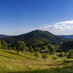 weiter zu - Vorbereitung Ihrer Reise in den Schwarzwald 